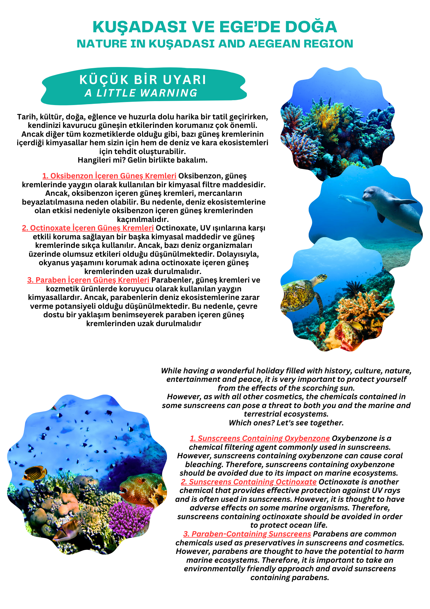 Sürdürülebilir Turizm